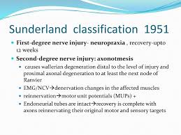 Sunderland classification of nerve injury adapted from. Peipheral Nerve Injuries Ppt Download