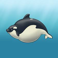 Today, hadley and i are learning how to draw a killer whale or an orca! Kulah The Portly Killer Whale By Eligecos Fur Affinity Dot Net