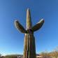 The Unafraid Storyteller in Tucson!