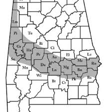 Job interview questions and sample answers list, tips, guide and advice. Pdf The History Of Late Cretaceous Vertebrate Research In Alabama