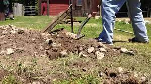 Maybe you would like to learn more about one of these? Learn How To Remove Rocks From Yard With 6 Steps