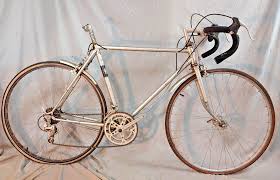 Image result for Gris Beige 1988 ARO