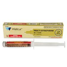 Image result for Epinephrine