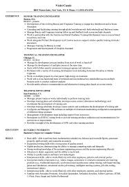 training developer resume samples