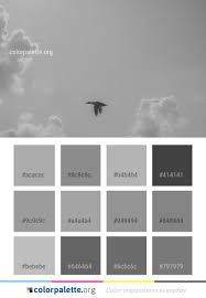 Black And White Color Scheme Website Sky Black And White Cloud Color Palette Colors Inspiration Graphics Design Inspiration Beautiful Colorpalette Palettes Idea Color C Black White Clouds Color Black White