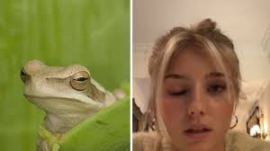 Verhaltensbiologin warnt vor TikTok-Trend „Frog Blick“