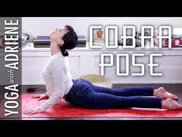 This Post May Contain An Affiliate Link At No Extra Cost To You Are You Thinking About Starting Yoga But Do Cool Yoga Poses Yoga With Adriene Cobra Pose Yoga