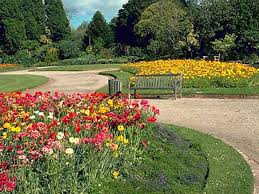 Whether you're traveling with friends, family, or even pets, vrbo vacation homes have the best amenities for hanging out with the people that matter most, including swimming pools. St Kilda Botanical Gardens Things To Do In St Kilda Melbourne