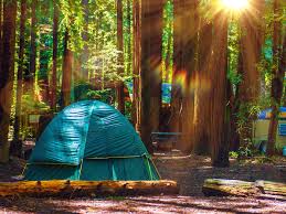 The chart below lists the locations of camping facilities (bringing your own place to stay) and some state park camping cottages, yurts, and lodging facilities that are in campgrounds. The Best Campsite In Every State