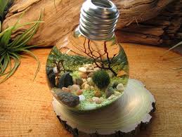 Deco Recyclage Avec Des Ampoules J Ai Dit Oui Deco Recyclage Recyclage Idees Terrariums