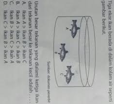 Tiga Ekor Ikan Berada Di Dalam Kolam Air Sepertigambar Di Atasurutan Besar Tekanan Yang Dialami Brainly Co Id