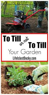 How do you till a garden. To Till Or Not To Till That Is The Gardening Question Life Is Just Ducky
