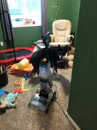 Bissell Proheat 2x Revolution Pet Pro Carpet Cleaner Costco Price The Best Pet Carpet Cleaner Your Dog Advisor