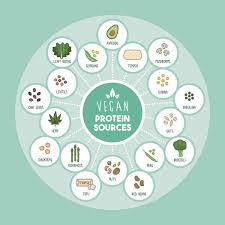 Five tips to help you lose five kilos in two weeks · 1. How To Lose 2 Kilos In 1 Week Full Guide