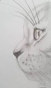 The publisher has strived to be as accurate and complete as possible in the creation of this report, notwithstanding the fact that he does not you can also erase later on the outlines and people will hardly notice that the drawing came from simple lines. Drawing Sketch Stick Figure Pencil Drawing Drawing Tutorial Simple Drawing Drawing Basis Cool Illustration Tiere Grossartige Zeichnungen Bleistiftzeichnung