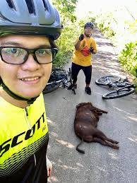 Appalachian Trail Hike Experience with Wild Ponies and Bear Encounter