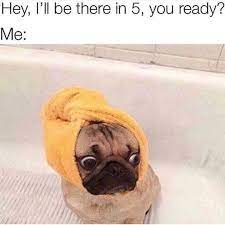 50 funny animal memes photos to blow your weekend. 53 Funny Beauty Memes Popsugar Beauty
