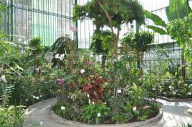 Grădina botanică dimitrie brandza (spații în aer liber). DupÄƒ 35 De Ani GrÄƒdina BotanicÄƒ Redeschide Sera Veche