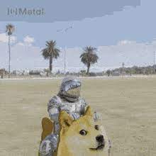Cryptocurrency doge elon musk bitcoin crypto meme shiba inu gamestop stonks. Dogecoin Gif Gifcen