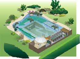 Hồ Bơi Sinh Thai 0901 846 888 Sales Biotechpool Com Hay Lien Hệ Trực Tiếp Với Chung Toi để Co Giải Phap Tốt Nhất Va Gia Tốt Nhất Ho Hồ Tự Nhien