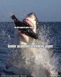 My First Paper In Peer Review Meme Generator