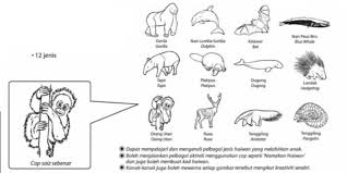 Check spelling or type a new query. C Cop Haiwan Mamalia Books Stationery Stationery On Carousell