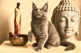 Beautiful girl Yara💕