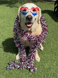 How to get help rebuilding my house after a disaster in Jamaica?