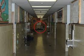 Inside stoneman douglas high school, #parkland florida shooting. Crime Scene Evidence Photograph From Sandy Hook Shooting The Body Of Deceased Victim Mary Sherlach Is Seen In The Image Police Put Whiteboards In Front Of The Bodies So Children Would Not