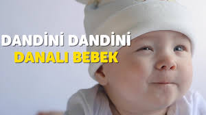 Dandini Dandini Danali Bebek Ninnisi Bebegimin Ninnileri Albumu Akilli Bidik Youtube
