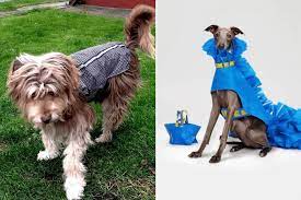 We did not find results for: Pet Furniture Archives Ikea Hackers