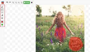 One of the most reliable ones is watermark remover online. How To Remove Watermark From Photo For Free