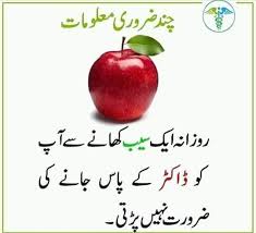 Pin By Samina Naz On P Health Is Wealth Health And Beauty Tips Beauty Tips In Urdu Daily Hacks