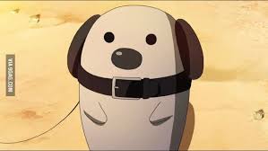 If You Know This Dog Then You Have Seen Some Disturbing Shit Akame Ga Akame Ga Kill Air Gear Anime