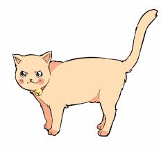 They can curl—cats curl their tail around you as they walk past, generally as a sign of affection, which transfers their scent on to you (i.e. Pawz Road Official Website Find All Pet Supplies