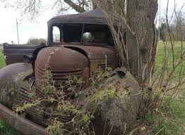 Hanson tells tale of the tree in truck landmark