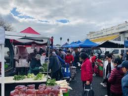 50 things to do in auckland new zealand nature culture food more inspired by maps