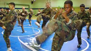 U S Army Physical Fitness Requirements