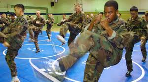 U S Army Physical Fitness Requirements