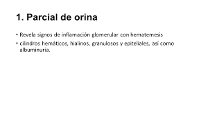 Evitar 2 días antes la ingesta de: Examenes De Laboratorio 1 Parcial De Orina Revela Signos De Inflamacion Glomerular Con Hematemesis Cilindros Hematicos Hialinos Granulosos Y Epiteliales Ppt Descargar