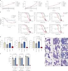 Perturbing LSD1 and WNT rewires transcription to synergistically induce AML  differentiation | Nature