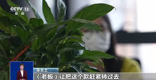 防范“AI换脸”诈骗你需要的知识都在这儿了→