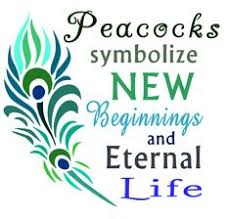 Almost files can be used for commercial. Cutting Files