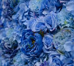 Appreciating nuances in color, texture, and curve allows for unique designs that are artful, often whimsical, always timeless and elegant. Flower Wall Photos Information Mystery Garden Las Vegas