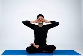 भ्रामरी प्राणायाम