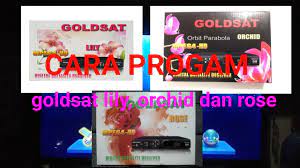 Cara mengetahui receiver mpeg4 atau bukan januari 2021. Cara Program Receiver Goldsat Mpg 4 Lily Orchid Dan Rose Youtube