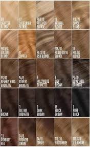Clip On Extension Versatilityiskey Hair Color Chart Hair Color Light Brown Colored Hair Extensions