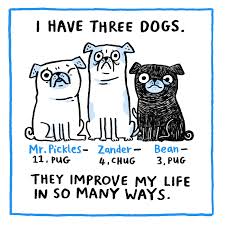 My 3 Dogs Help Improve My Mental And Physical Health The Lily