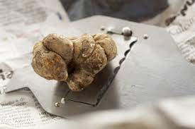 Truffle Prices Double To 3 200 A Pound Bloomberg