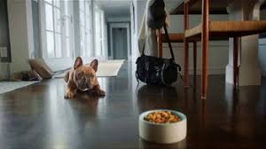 We've researched ingredients and spoken with a vet to find the best. Petsmart Tv Commercial The Foodie Ispot Tv